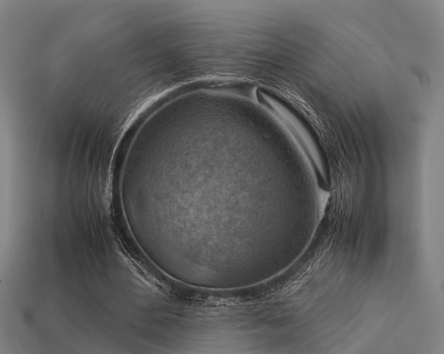 X0000113590484200909251139