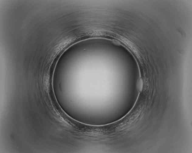 X0000113590485200909251139