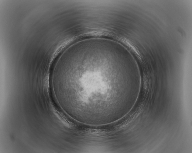 X0000113590486200909251139