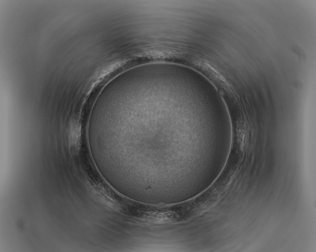 X0000113590488200909251139