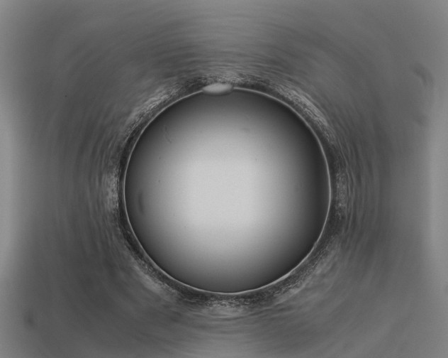 X0000113590489200909251139