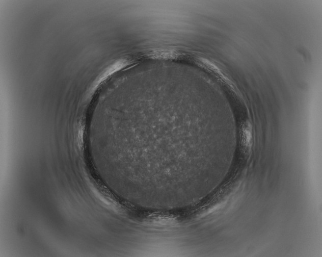 X0000113590491200909251139