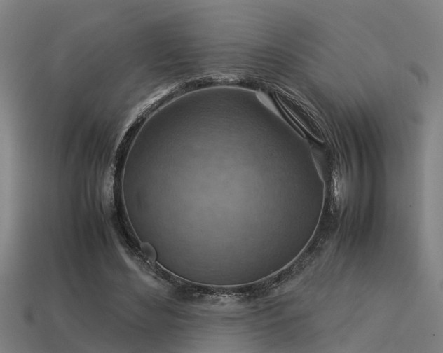 X0000113590492200909251139