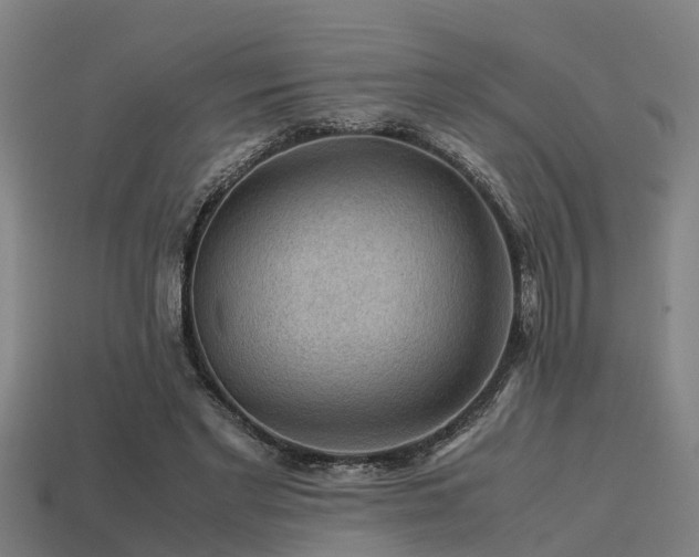 X0000113590493200909251139