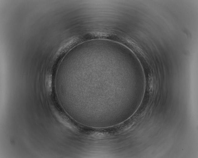 X0000113590494200909251139