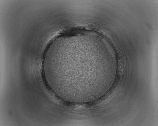 X0000113590495200909251139