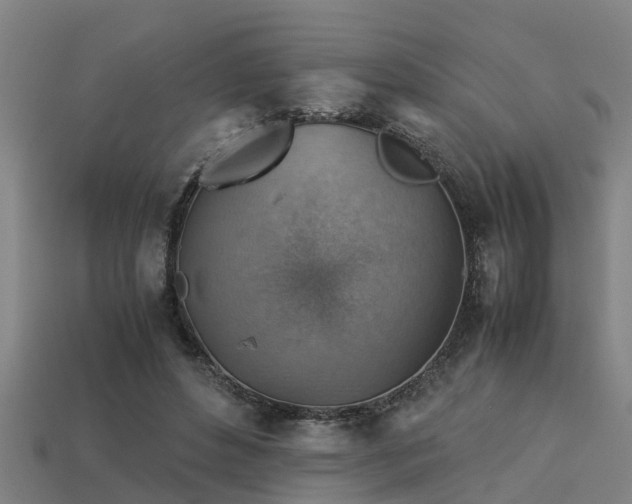 X0000113590496200909251139