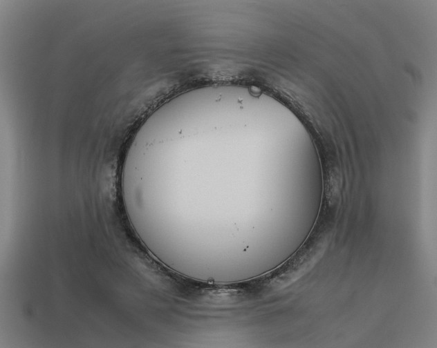 X0000113590497200909251139