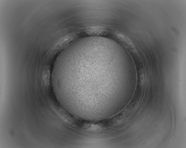 X0000113590498200909251139