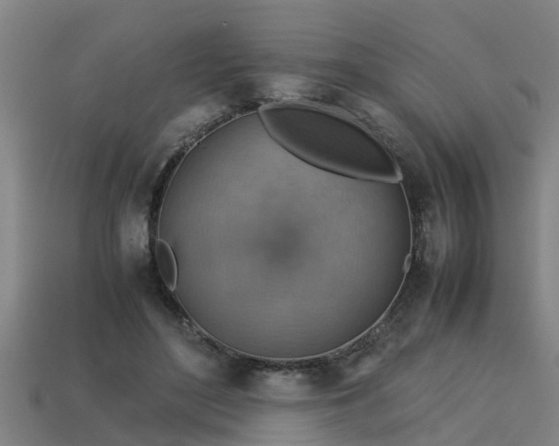 X0000113590500200909251139