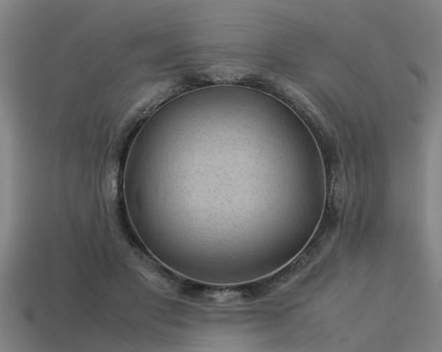 X0000113590501200909251139