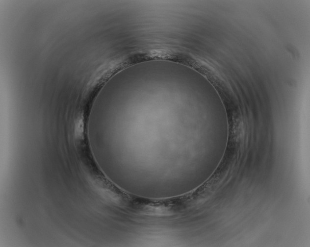 X0000113590502200909251139