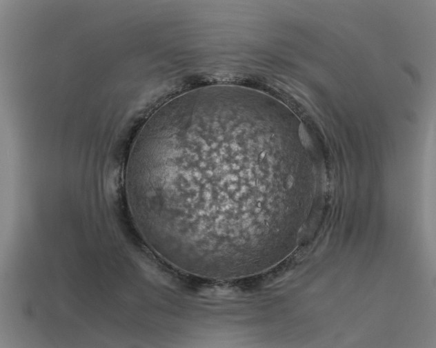 X0000113590503200909251139