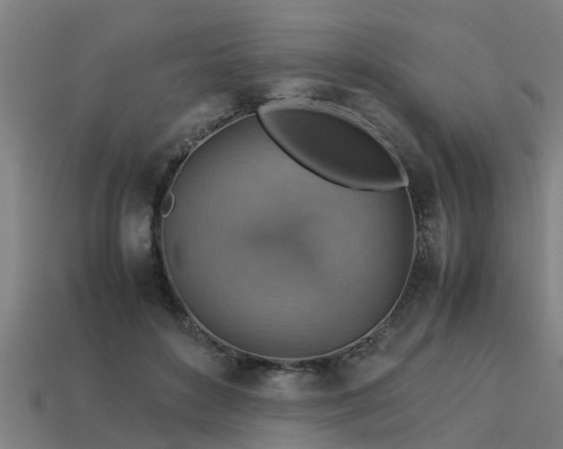 X0000113590504200909251139