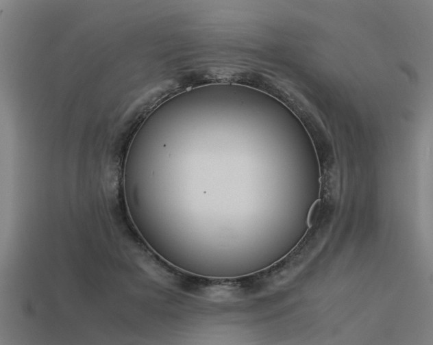 X0000113590505200909251139