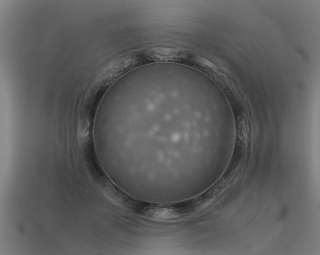 X0000113590507200909251138