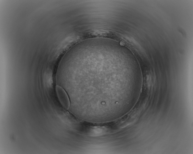 X0000113590508200909251138