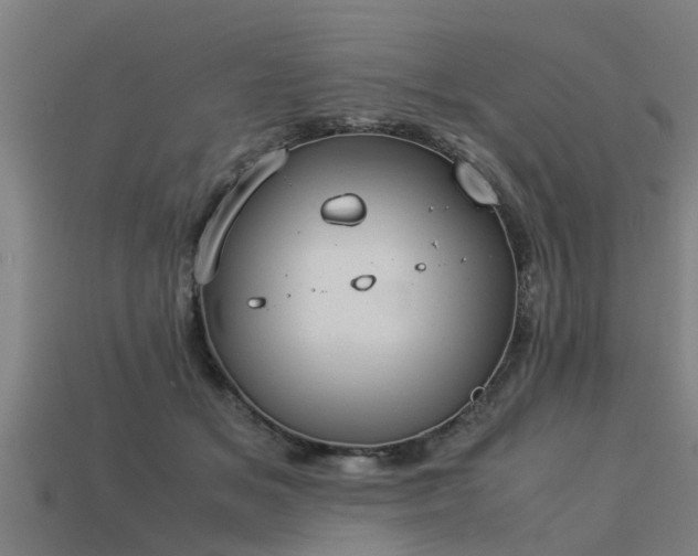 X0000113590509200909251138