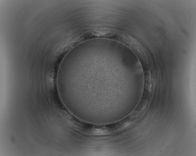 X0000113590510200909251138