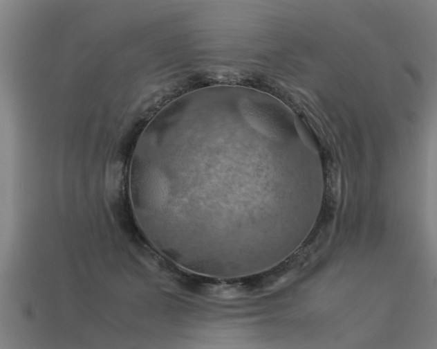 X0000113590511200909251138