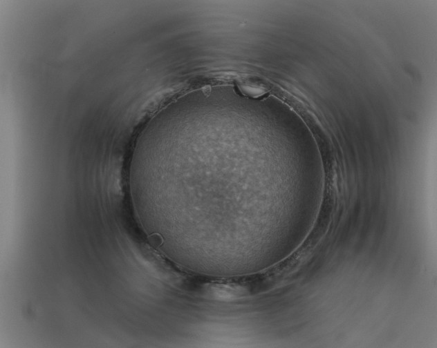 X0000113590512200909251138