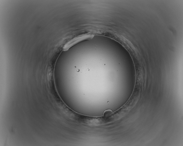 X0000113590513200909251138