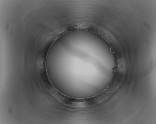 X0000113590514200909251138