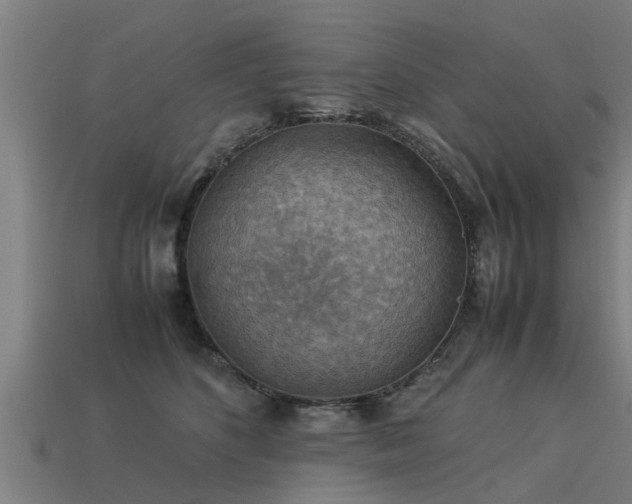 X0000113590516200909251138