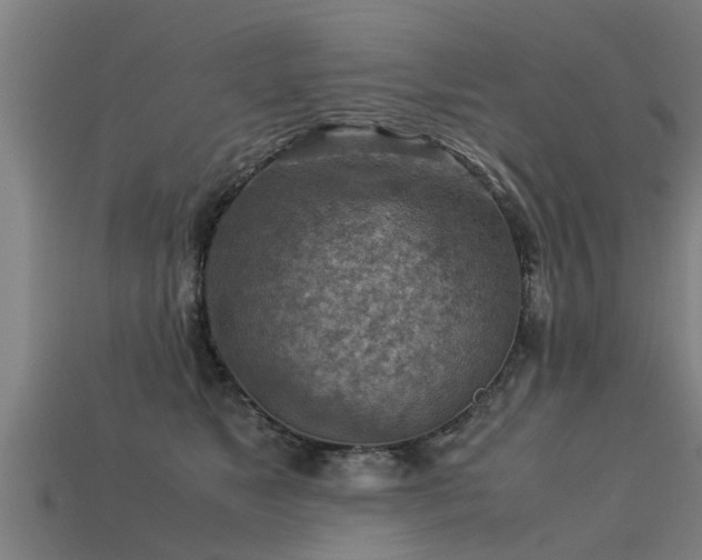 X0000113590517200909251138