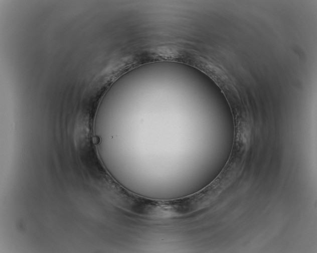 X0000113590518200909251138