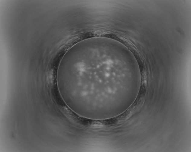 X0000113590519200909251138