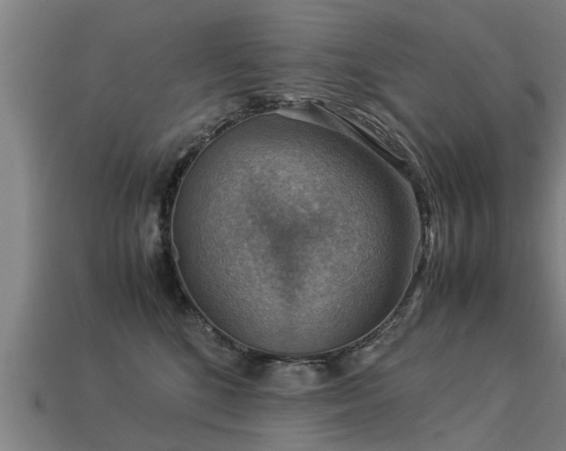 X0000113590520200909251138