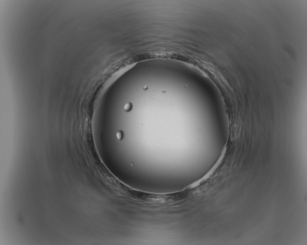 X0000113590521200909251138