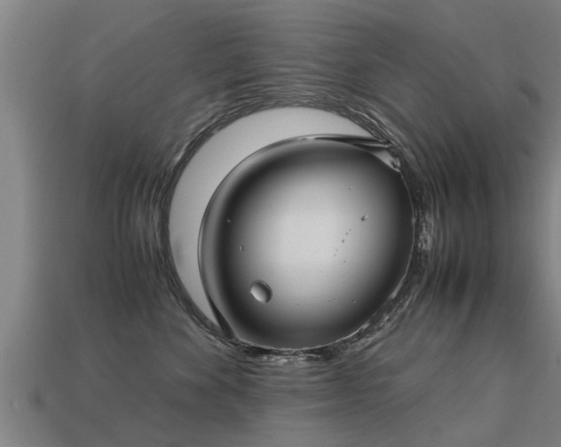 X0000113590524200909251138