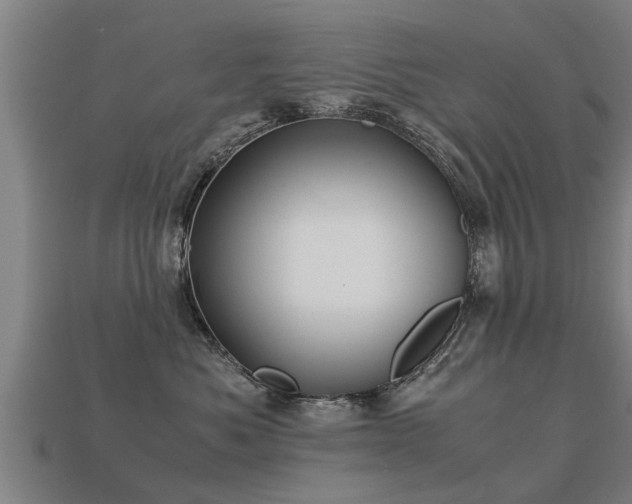 X0000113590525200909251138