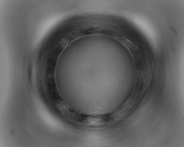 X0000113590526200909251138