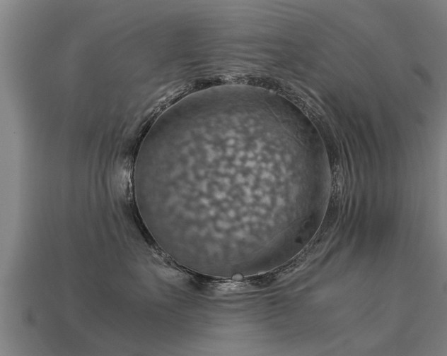 X0000113590527200909251138