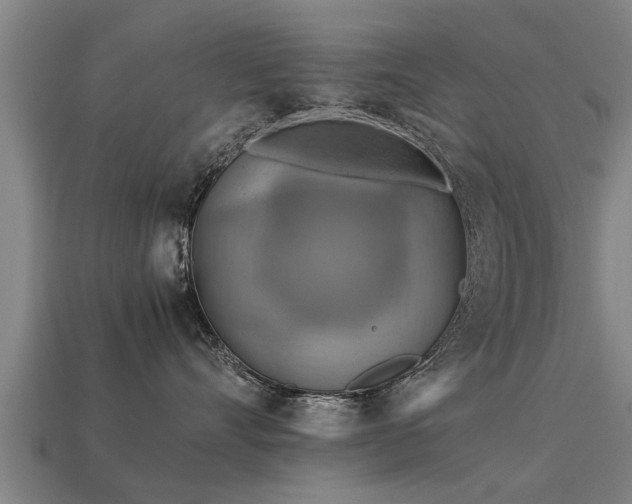 X0000113590528200909251138