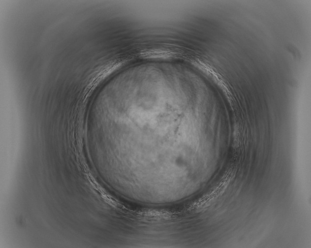 X0000113590529200909251138