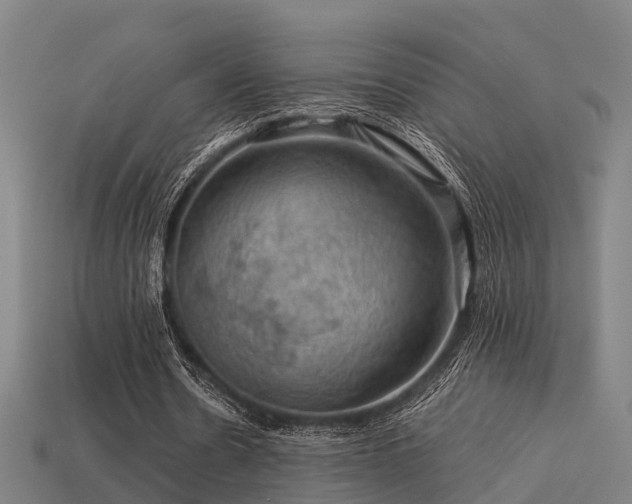 X0000113590530200909251138