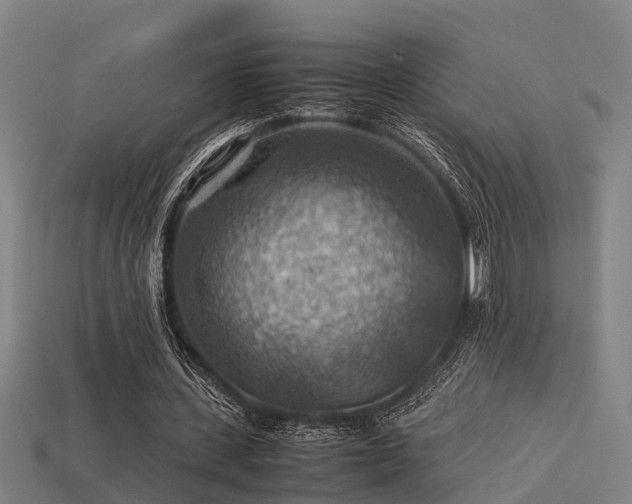 X0000113590531200909251138