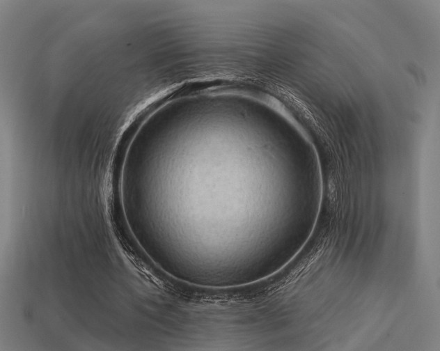 X0000113590532200909251138