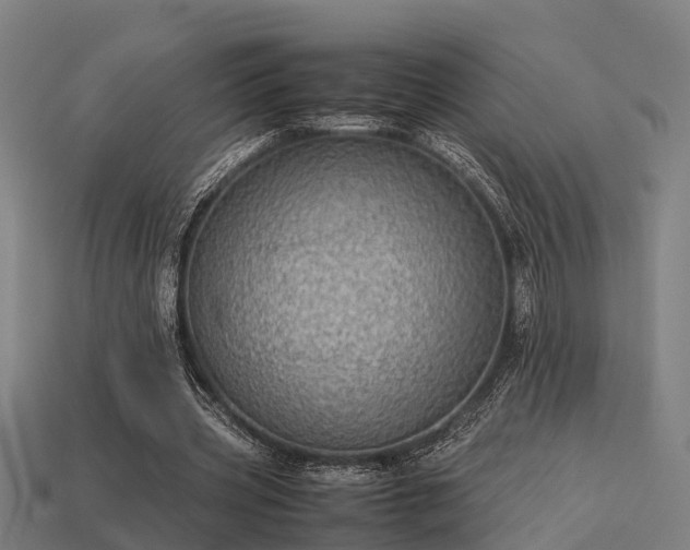 X0000113590533200909251138