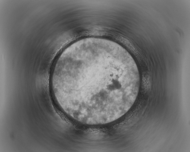 X0000113590534200909251138