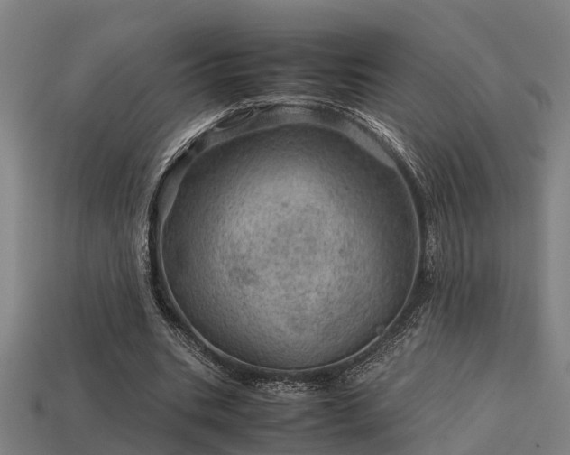 X0000113590535200909251138