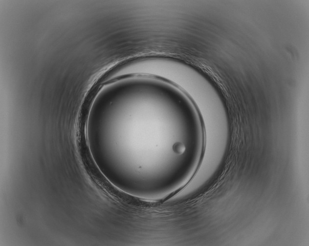 X0000113590536200909251138