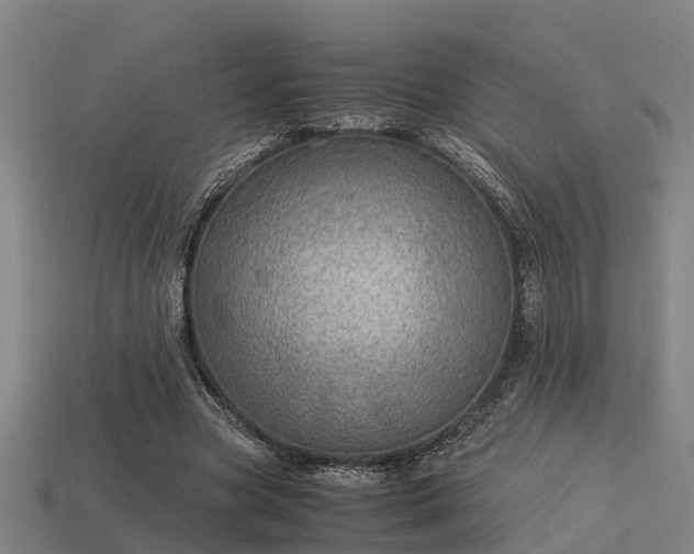 X0000113590537200909251138