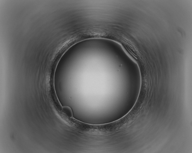 X0000113590538200909251138