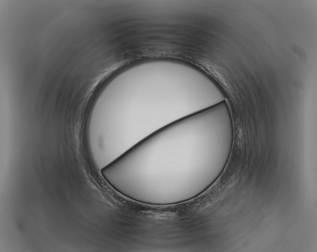 X0000113590539200909251138