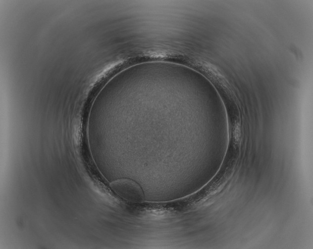 X0000113590540200909251138